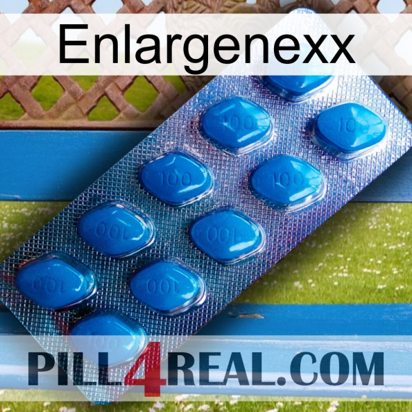 Enlargenexx viagra1